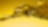 huile moteur