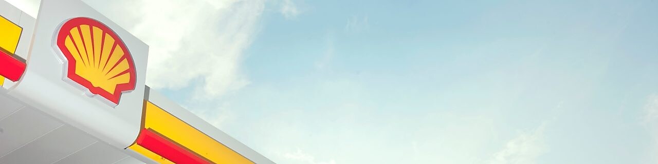 shell pecten on station