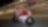 Pilote Ducati roulant vite sur une moto, sur un circuit, de nuit